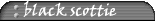 [ projects ]